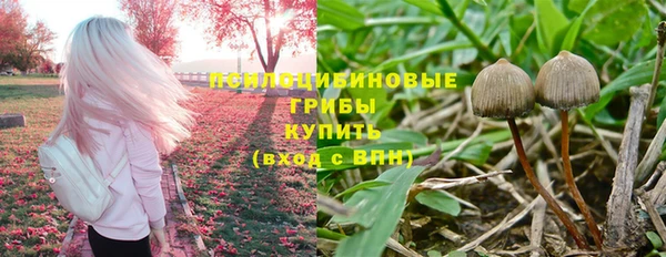 тгк Абдулино