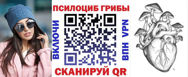Псилоцибиновые грибы мицелий Александров
